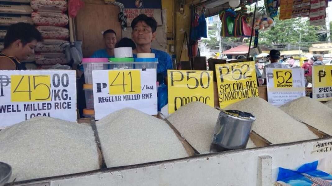 20230926 PAGEONE - Store