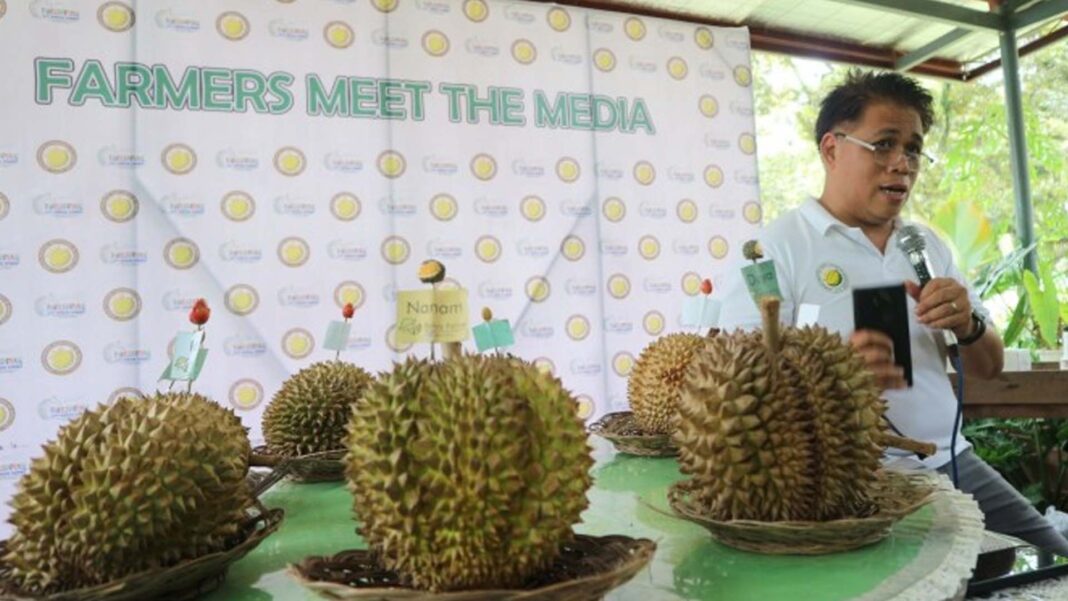 20231002 PAGEONE - Emmanuel Belviz