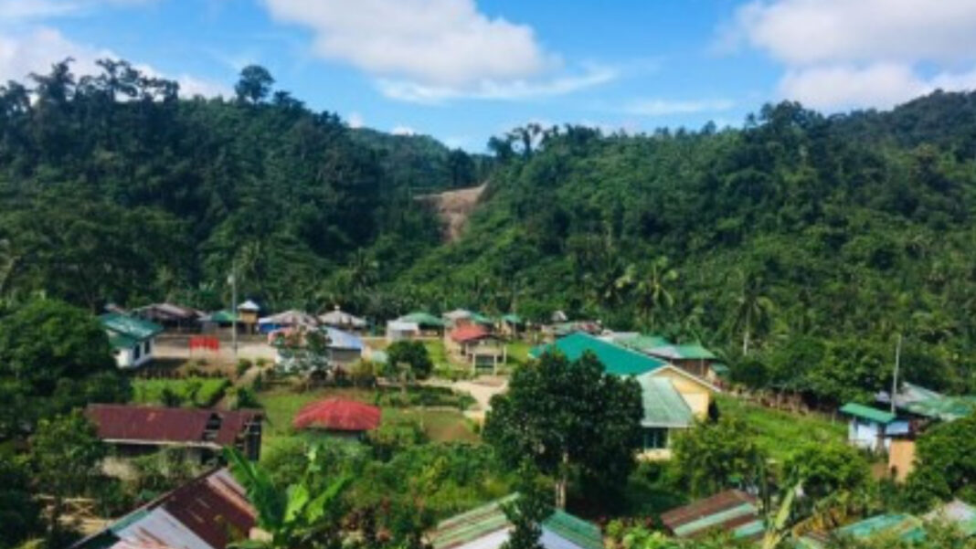 20231020 PAGEONE - Bird Haven