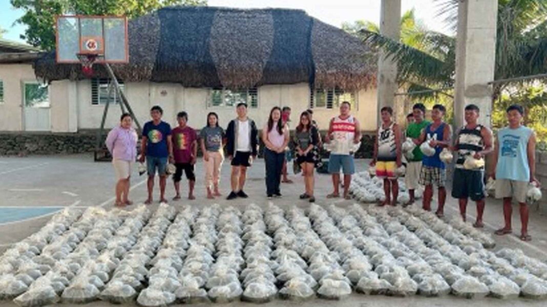 20231128 PAGEONE - Fingerlings