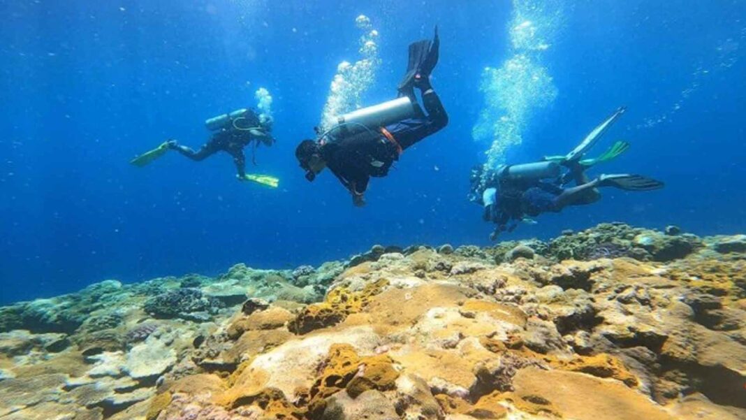 20231211 PAGEONE - Diver