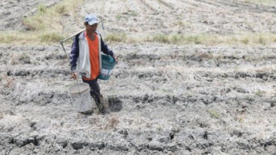 20240109 PAGEONE - Dry Season Months