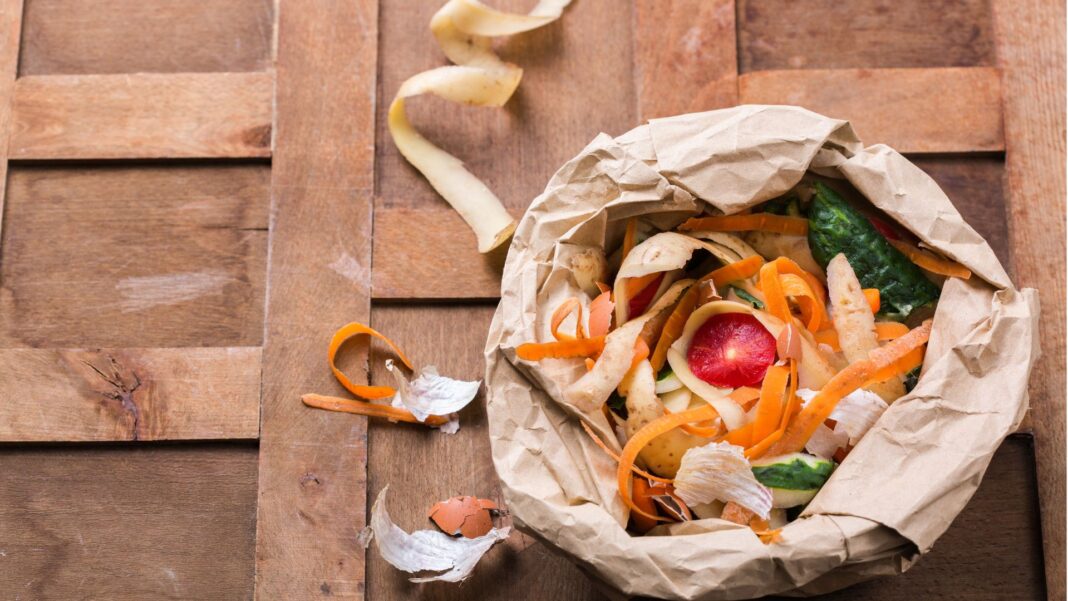 20240117 PAGEONE - Food Scraps 4