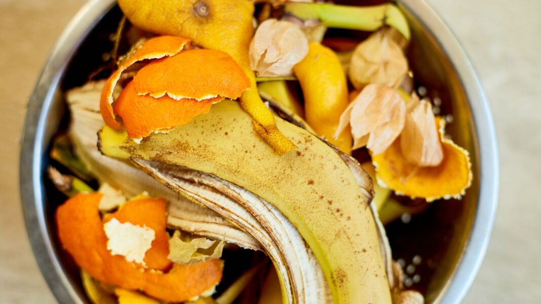 20240117 PAGEONE - Food Scraps 5