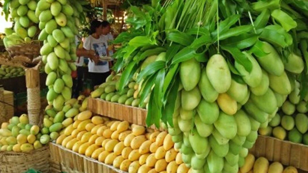 20240212 PAGEONE - Mango