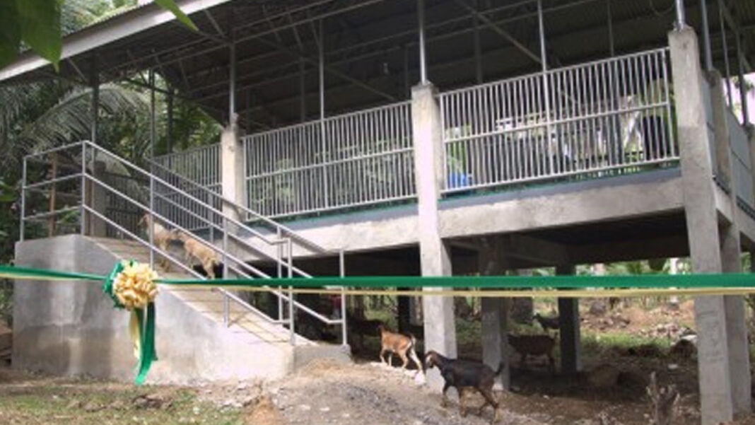 20240213 PAGEONE - Goat house