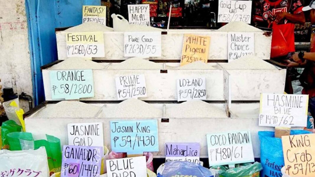 20240313 PAGEONE - Rice store