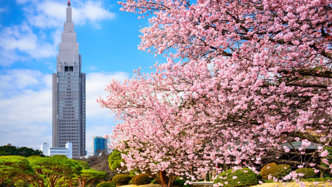 20240321 PAGEONE Cebu-Tokyo 5