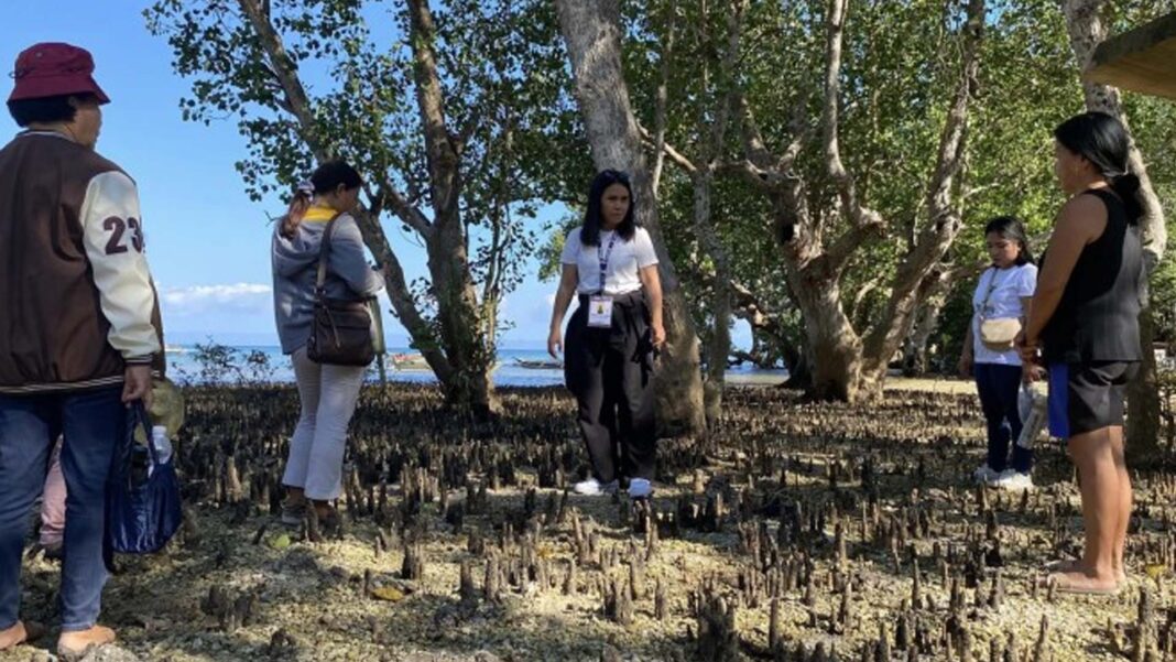 20240321 PAGEONE - El Niño response projects