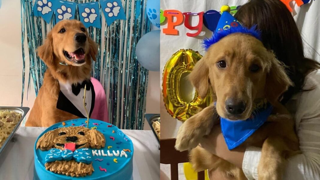 20240322 PAGEONE Killua 1