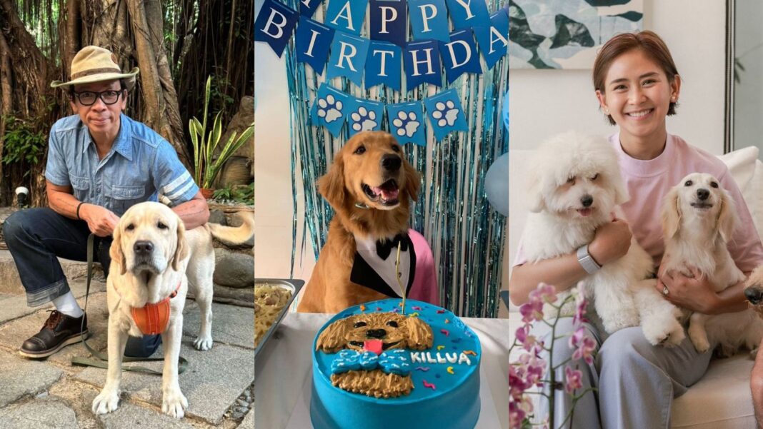 20240322 PAGEONE Killua 4