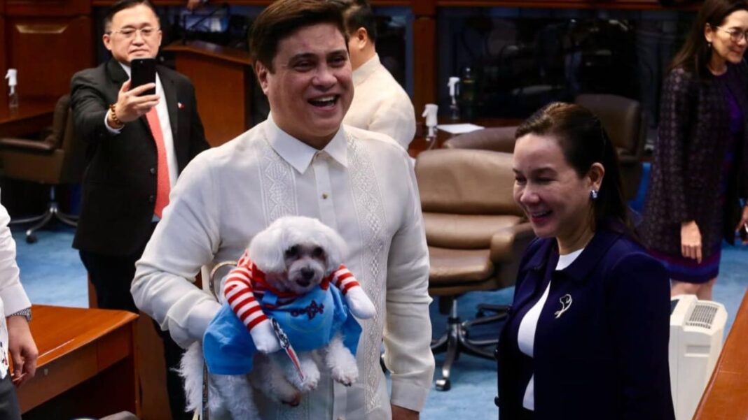 20240325 PAGEONE Animal Welfare 1