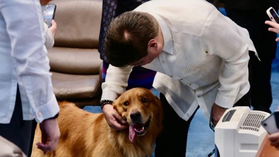 20240325 PAGEONE Animal Welfare 4