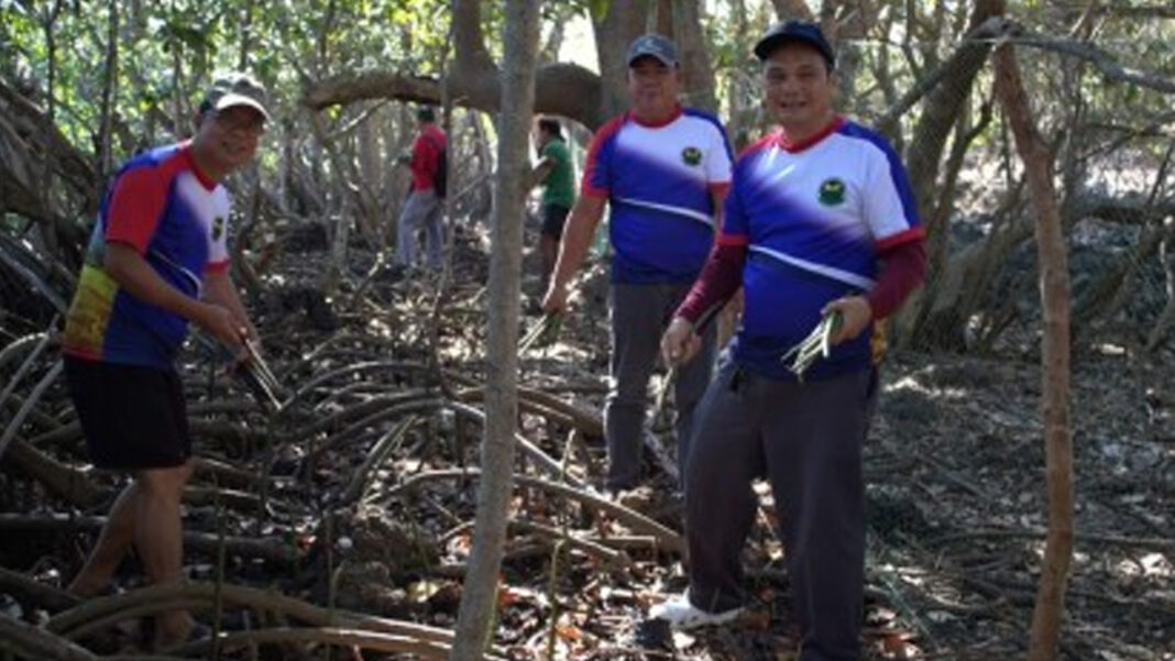 20240505 PAGEONE - Mangroves