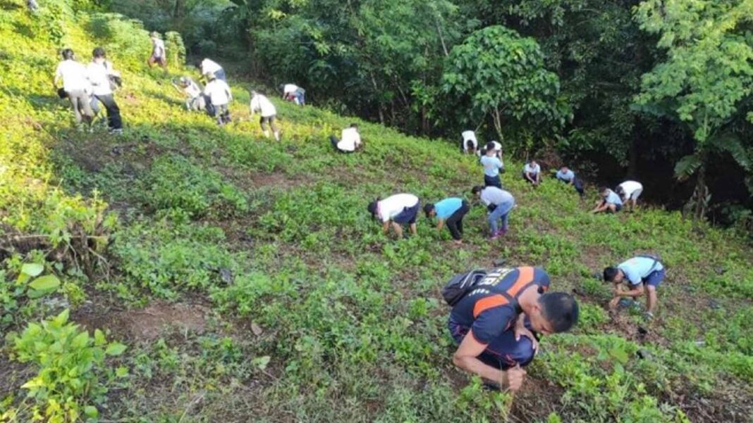 20240509 PAGEONE - Tree planting