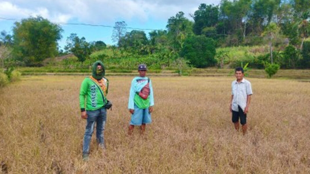 20240519 PAGEONE - PCIC