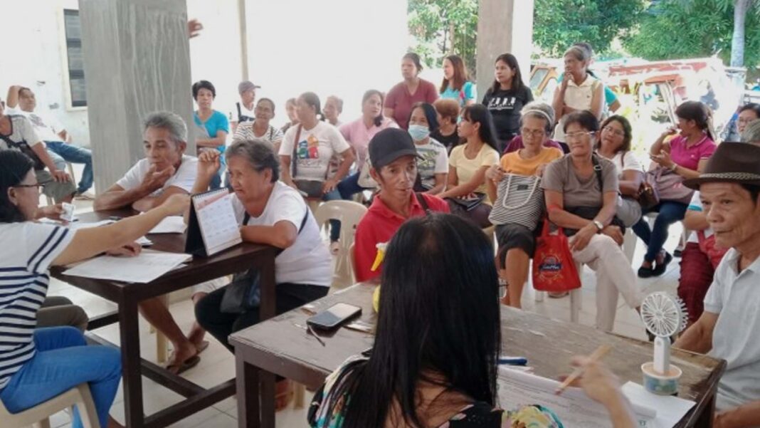 20240520 PAGEONE - Palay seedlings