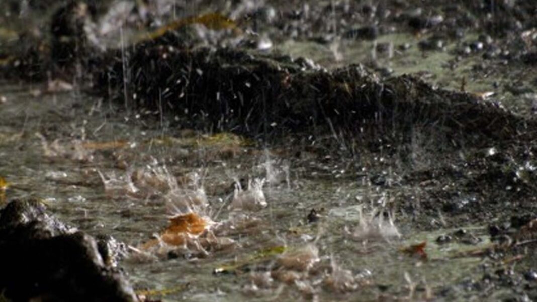 20240520 PAGEONE - Rainwater