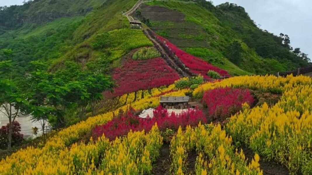 20240526 PAGEONE - Mountains