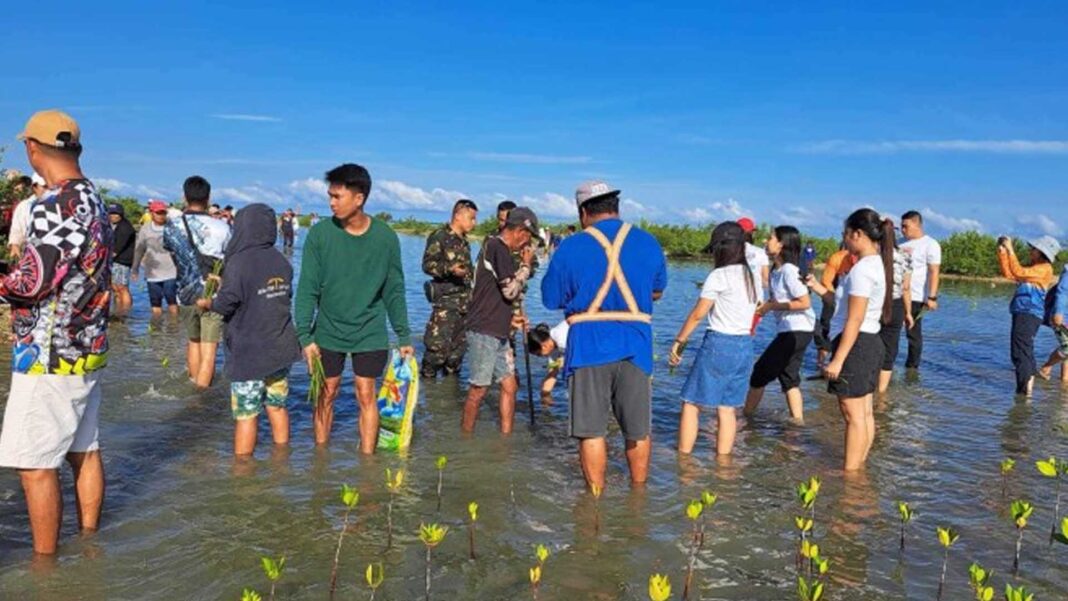 20240606 PAGEONE - Mangrove