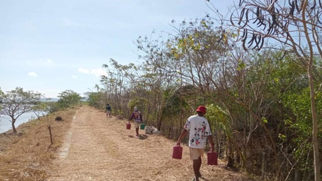 20240609 PAGEONE - Planting