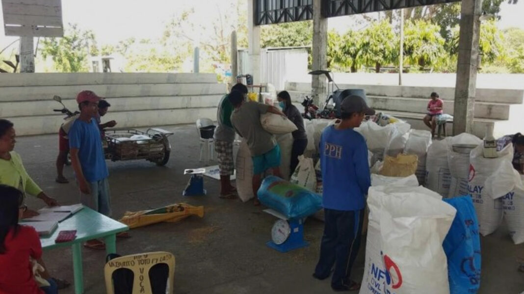 20240618 PAGEONE - NFA