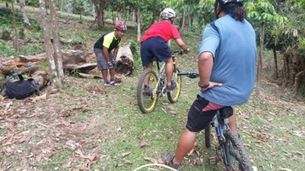 20240708 PAGEONE - Sports tourism