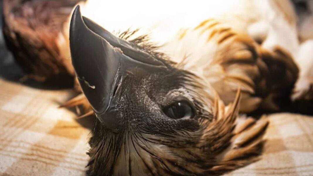 20240712 PAGEONE - MANGAYON DEATH 1