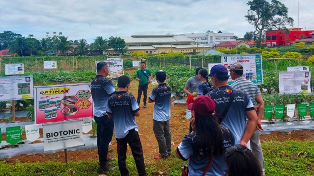 20240714 PAGEONE - Farm technologies