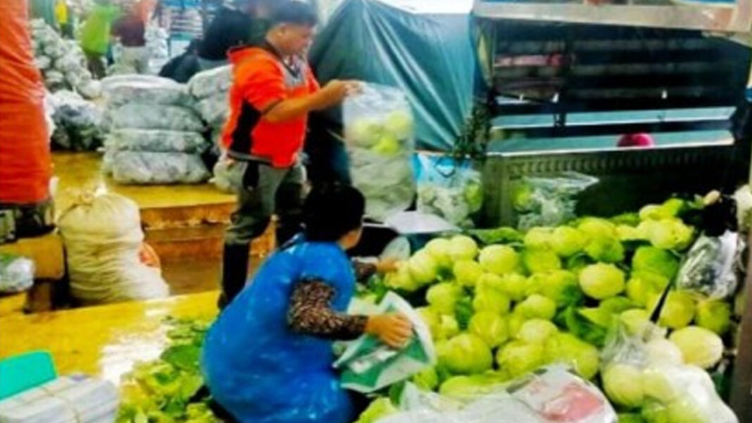 20240725 PAGEONE - Vegetable