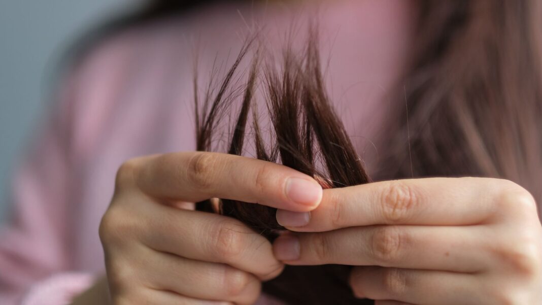 20241607 PAGEONE - HOME REMEDY FRIZZ FI1