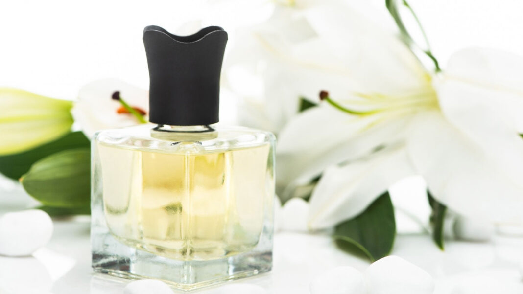 20241807 PAGEONE - PERFUME PERSONALITY FI1