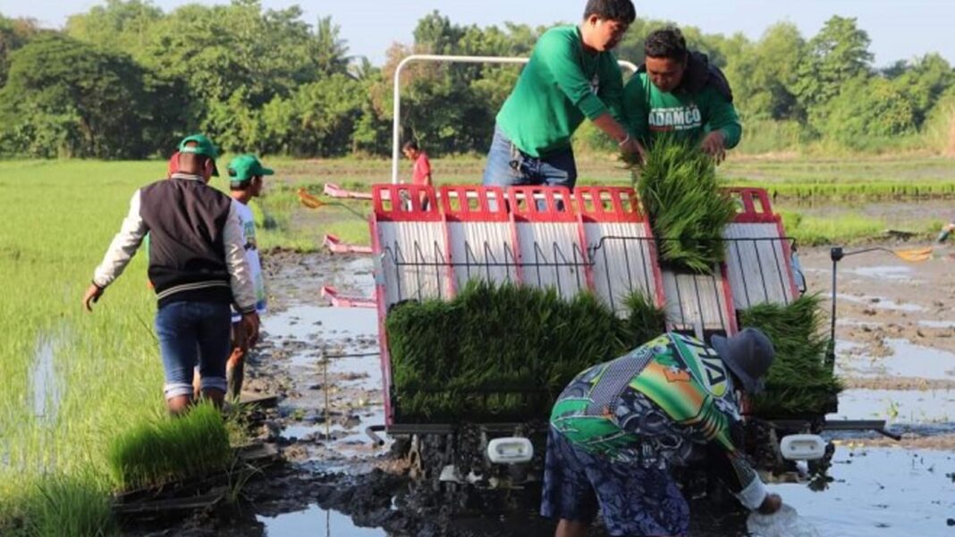 20240805 PAGEONE - Harvester