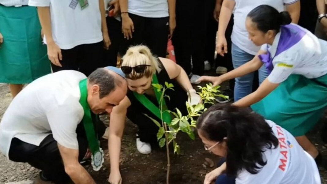 20240811 PAGEONE - Planting