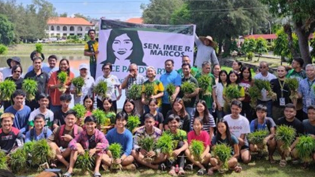 20240812 PAGEONE - Rice paddy