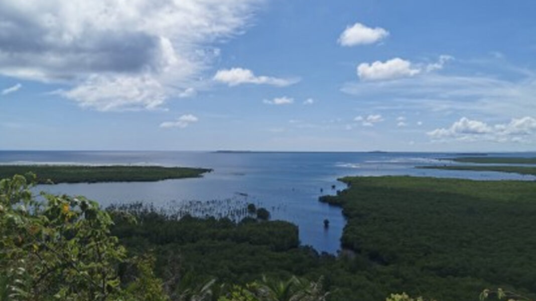 20240819 PAGEONE - Beach