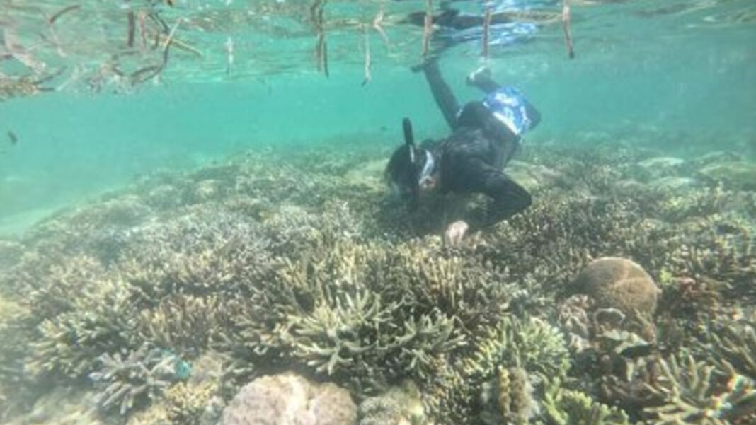 20240901 PAGEONE - Clam