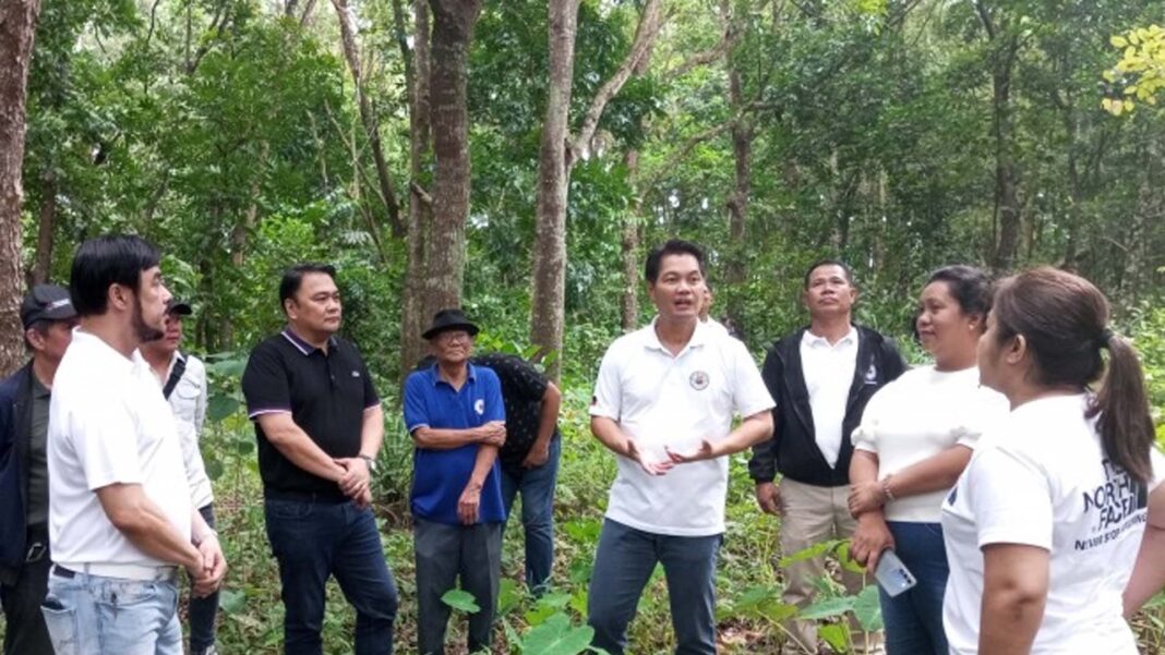 20240904 PAGEONE - Tree park