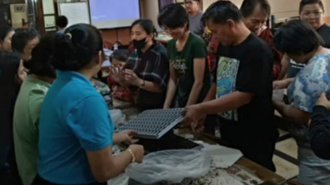 20240911 PAGEONE - Hydroponic