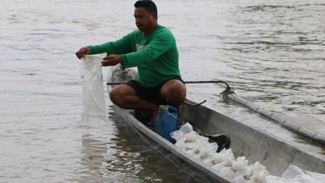 20240915 PAGEONE - Fisheries