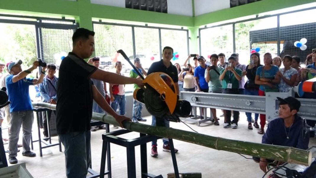 20240922 PAGEONE - Bamboo growers