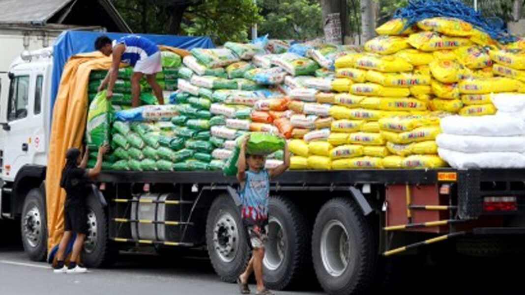 20240926 PAGEONE - Rice