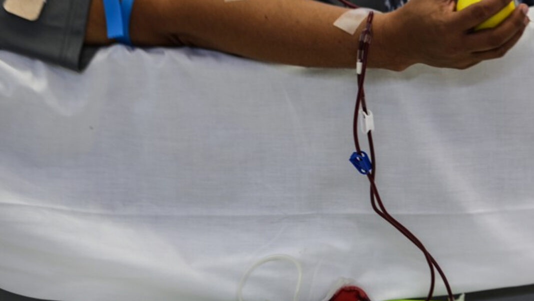 20241008 PAGEONE - Blood donations