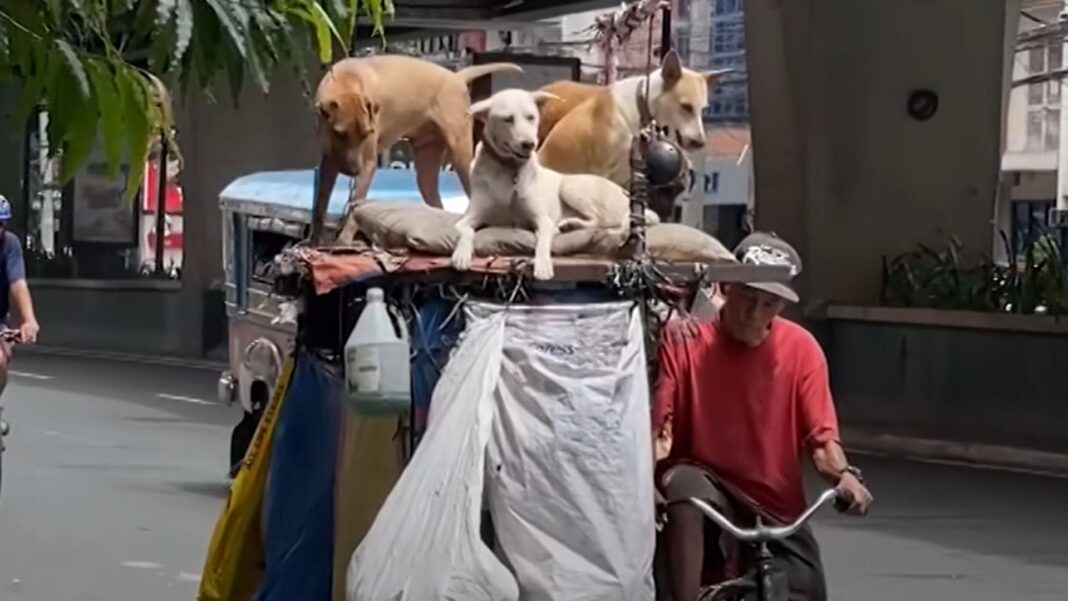 20241015 #TGF Homeless Man FI 1