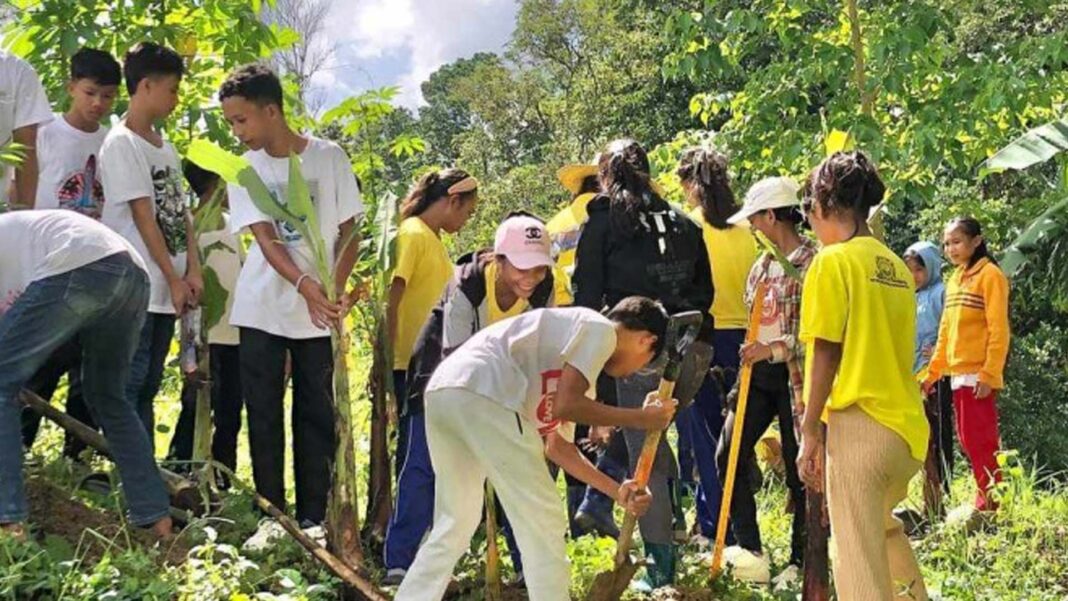 20241016 PAGEONE - Farm schools