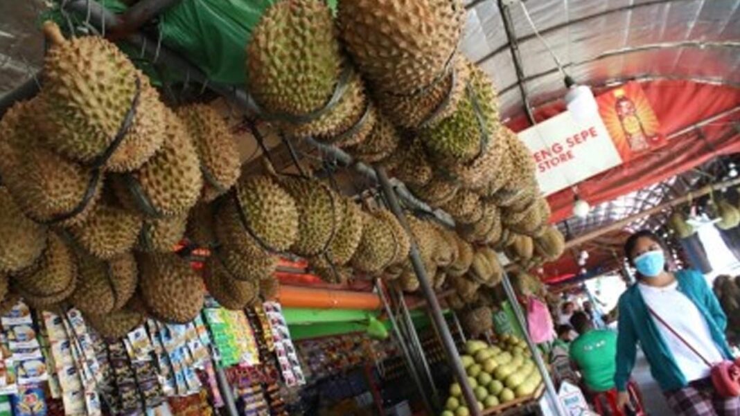 20241021 PAGEONE - Durian