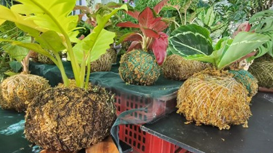 20241021 PAGEONE - Waste management program