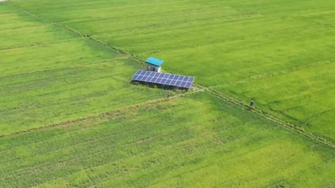 20241022 PAGEONE - Solar pump irrigation