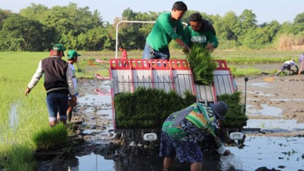 20241104 PAGEONE - Farmer