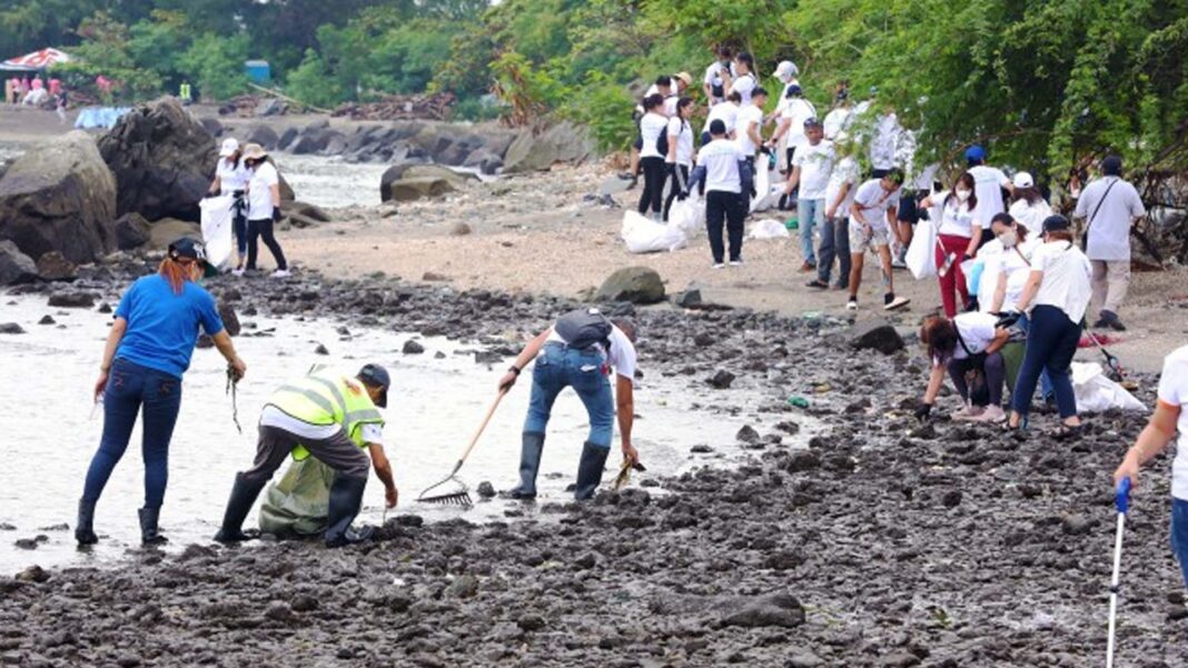 20241110 PAGEONE - Clean-up